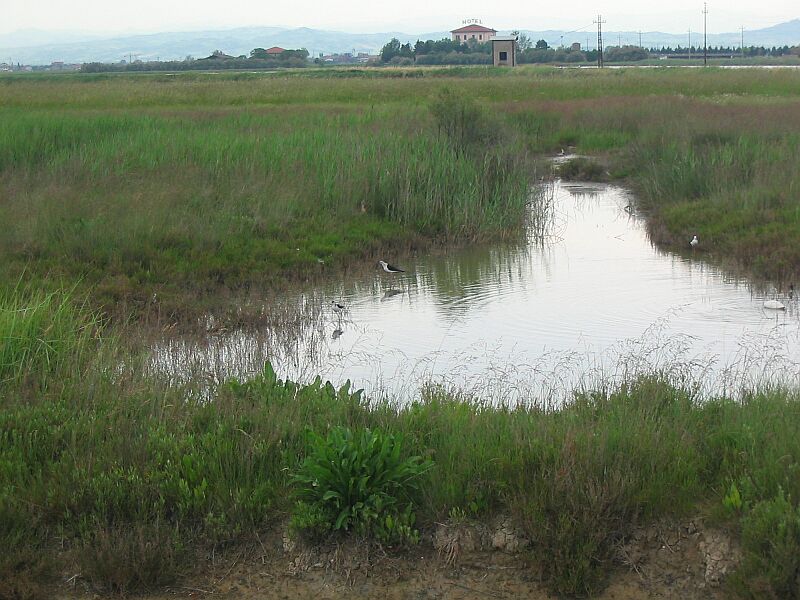 Saline di Cervia (RA)